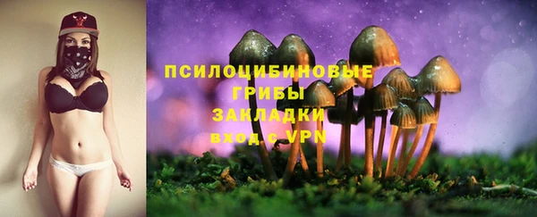дурь Верея