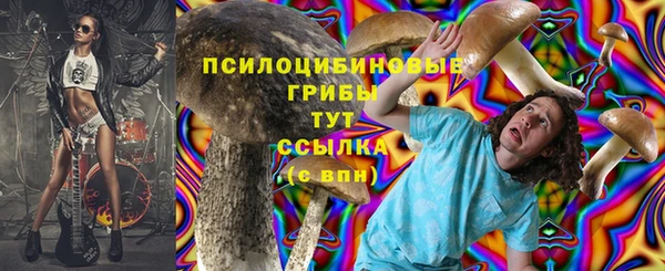 дурь Верея