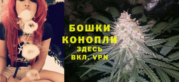 дурь Верея