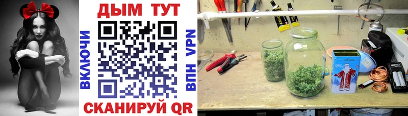 hydra ссылка  shop клад  Шишки марихуана ГИДРОПОН  Керчь 
